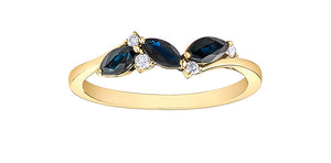 Blue Sapphire & Diamond Ring 10 Karat Gold